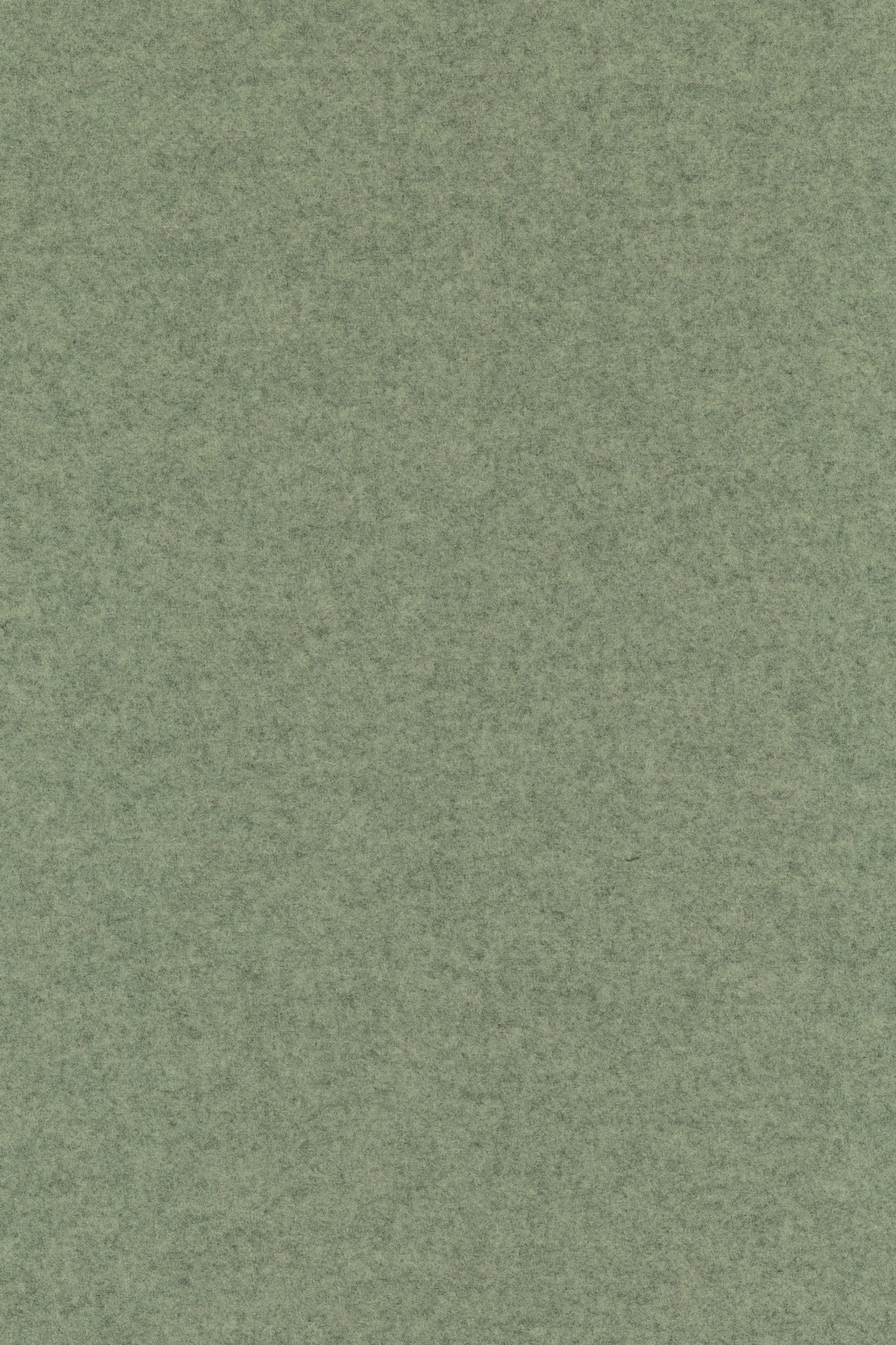 Fabric sample Divina Melange 3 917 green
